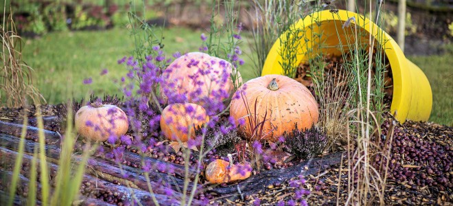 Chryzantema, dynia i dużo kolorów - Września gotowa na jesień!